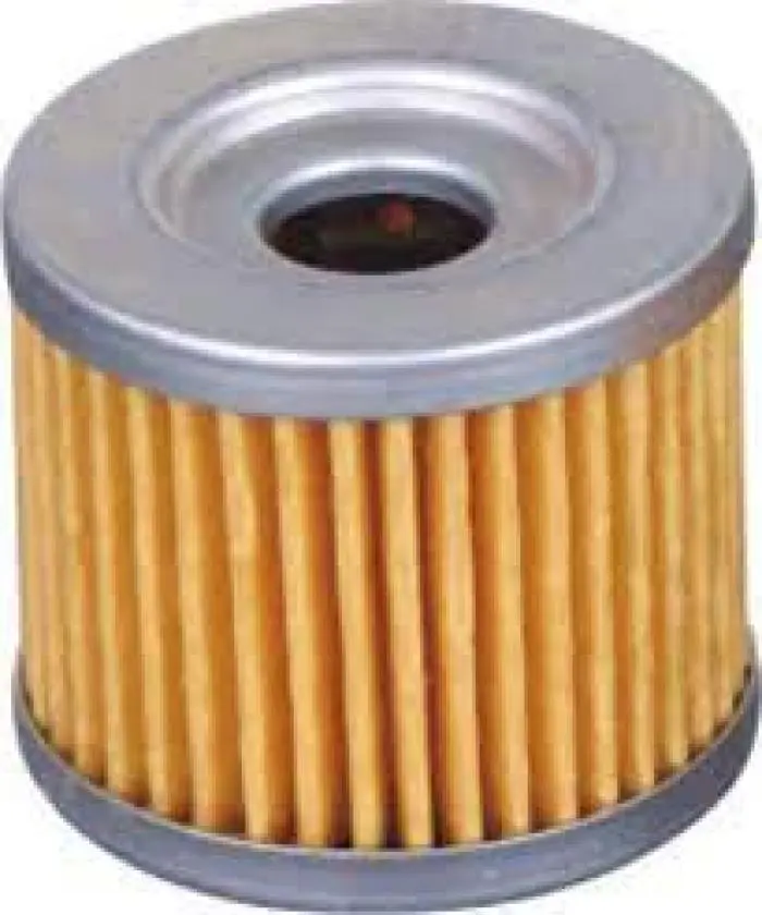 Fiero/ CNG oil filter