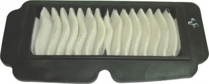 Suzuki Access Air Filter